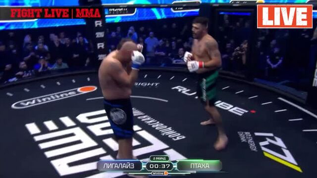 Бой: птаха & лигалайз