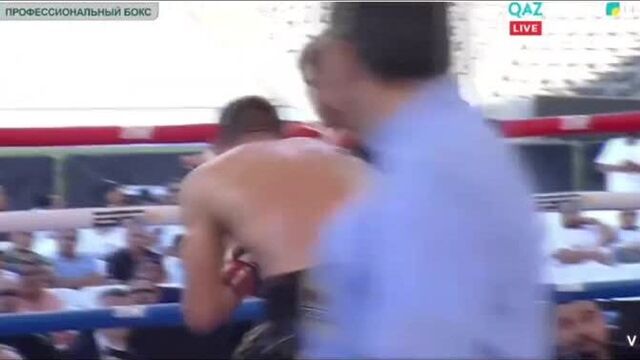 Жәнібек әлімханұлы стюарт маклеллан толық бой