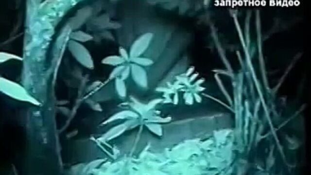 Секс на камеру наблюдения