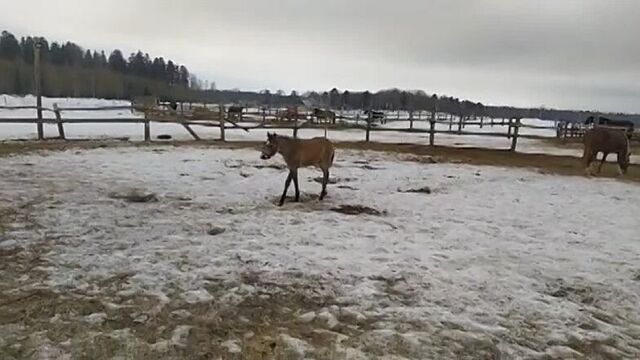 Мячик сдулся, мальчику скучно.)