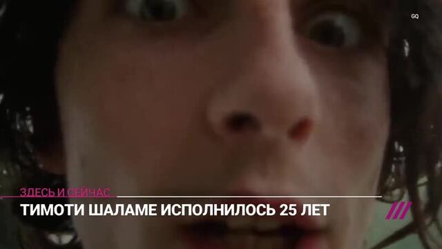 Тимоти шаламе — 25