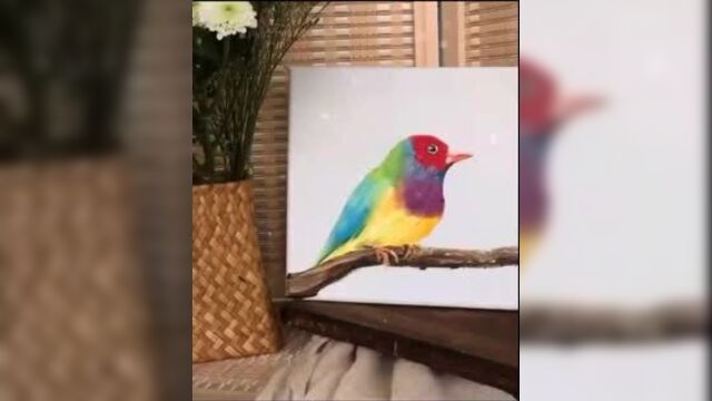 Как легко нарисовать птичку