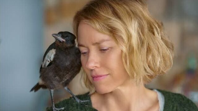 Трейлер фильма "история семьи блум"