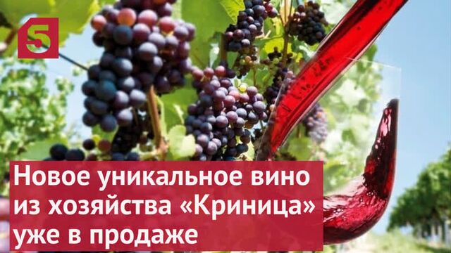Новое уникальное вино из хозяйства «криница» уже в продаже
