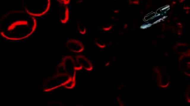 Психопаспорт клип границы гетто