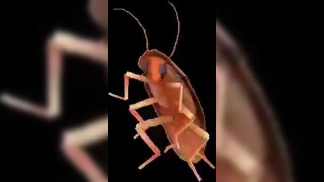 Татарстан супер гуд