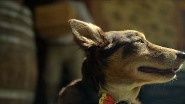 Фантастическая австралия / tourism australia _ restaurant australia film