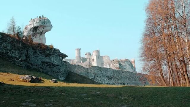 Огродзенец