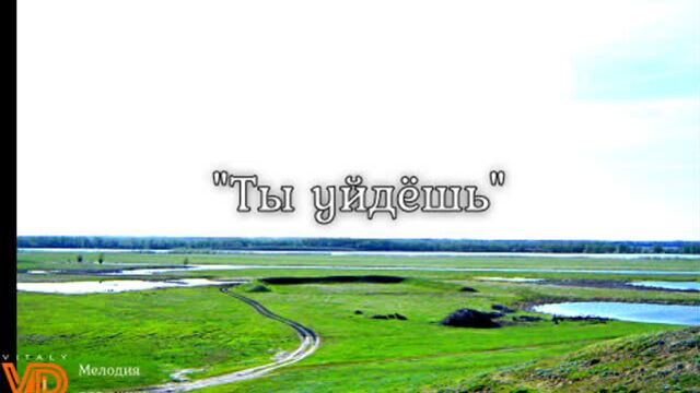 "ты уйдёшь" ("комиссар"), гармонь. виталий дружинин