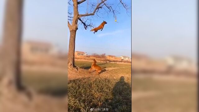 Вижу цель - не вижу препятствий
