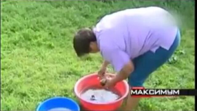 На волыни едят ежей.