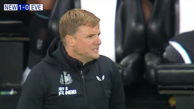 Ньюкасл - эвертон / обзор