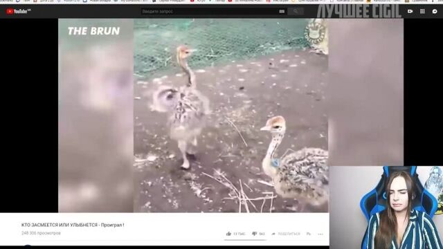 [лучшее cigil] михалина смотрит кто засмеется или улыбнется - проиграл !