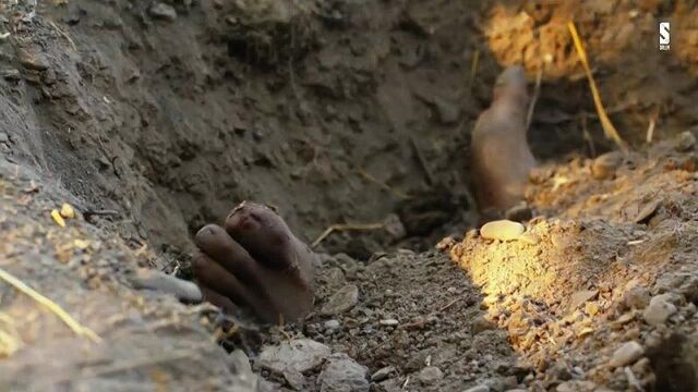 [пацанские истории] свадьба шалкара | дело № 8 | 5:32 | сериал