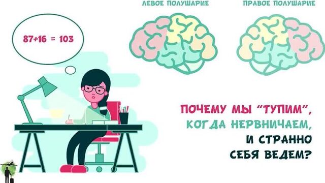 [romansergeevcom] «тренируем мозг». рюта кавашима | саммари ®