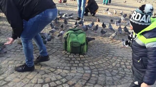 Koksal baba поймал голубя на площади г. трабзон