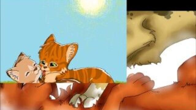 Коты-воители: огнезвёзд и песчаная буря