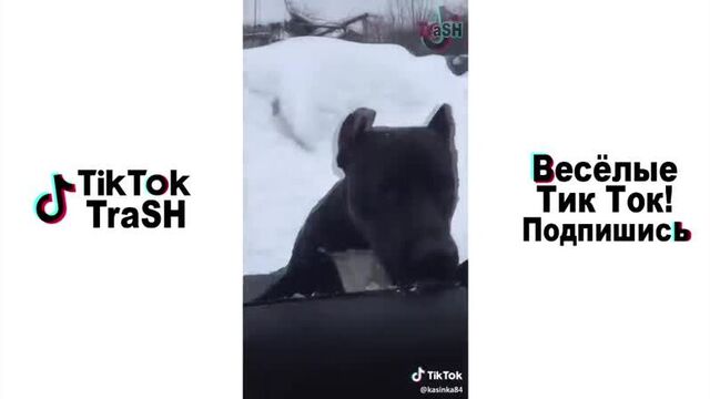 Тик ток! треш в tik tok _ лучшие приколы tik tok meme compilation