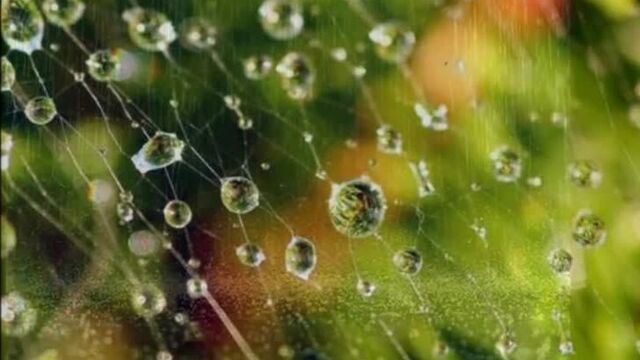 "вальс дождя" (фредерик шопен)