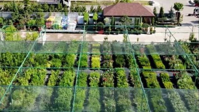 Video by садовый центр "ромашкино парк"