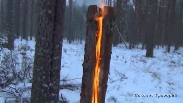 Таёжный костёр нодья из одного бревна