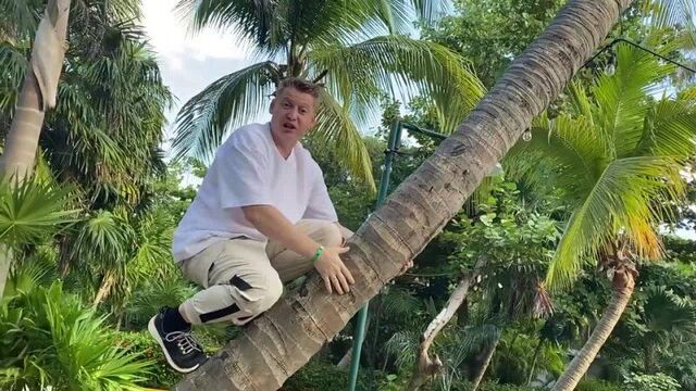 [гитара с нуля- уроки игры на гитаре] гитарист в мексике челлендж сколько заработает уличный музыкант