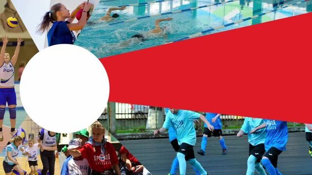 Проект ано српфс «дрозд-череповец» - «гто без границ»