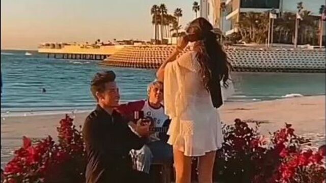 Чёрная смородина | sevenrose - алёна росс