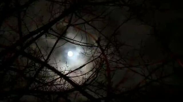 "почему ты так много плачешь, о посланник аллаha? "