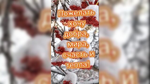 Видео-открытка с днем святого николая чудотворца! поздравление на день святого николая чудотворца 19 декабря!