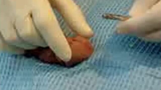 Принц альбертhttp://vkontakte.ru/club19204707 вступай в группу!!! ☺☻♥♠♣♦•◘