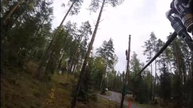 Норвежский парк орех. конкурсное видео.