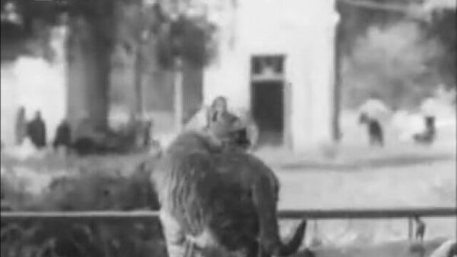 Андрей чикатило. мой дивный мир