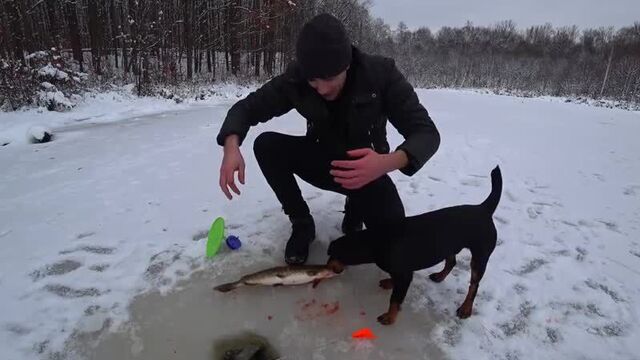 [vitalik ignatyuk] зимняя рыбалка на секретном озере на жерлицы и на удочку