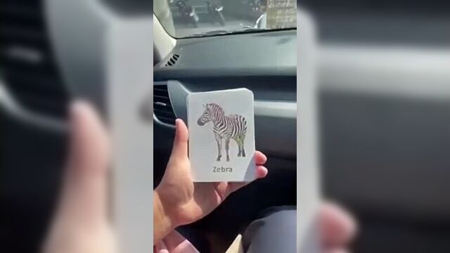 Месси козел