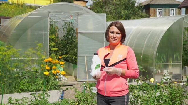 Голова садовая о компостировании