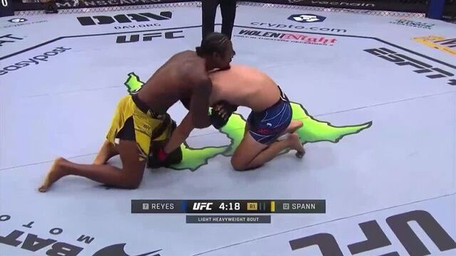 Доминик рейес - райан спэнн