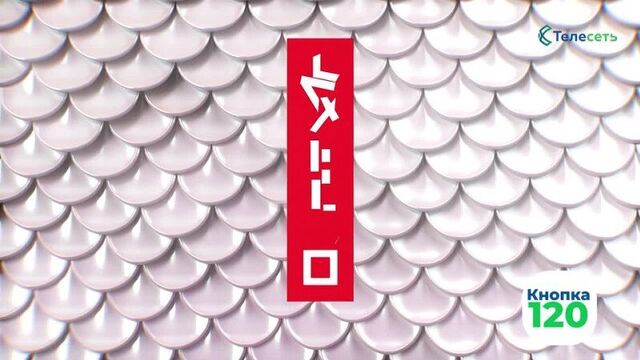 Телеканал кинеко