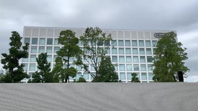 [evil studios] какие аксессуары стоит купить для нинтендо свитч лайт (nintendo switch lite)???