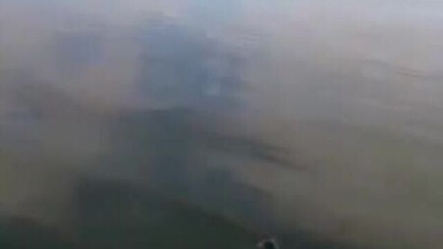 Алиэкспресс рулит fkb'rcghtcc hekbn fkb'rcghtcc hekbn fkb'rcghtcc hekbn