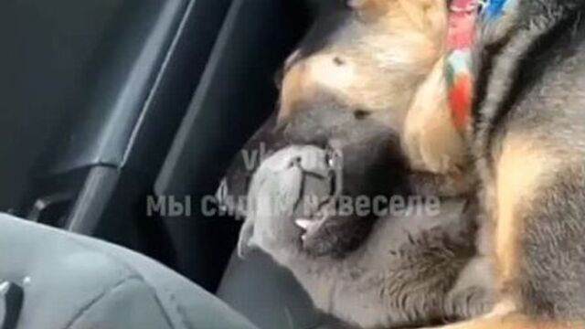 Высокие отношения)) вот что значит доверие на 100% 2