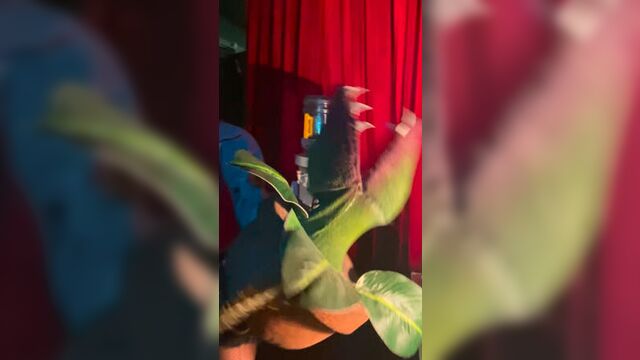 Video by «магазинчик ужасов». комедийный мюзикл