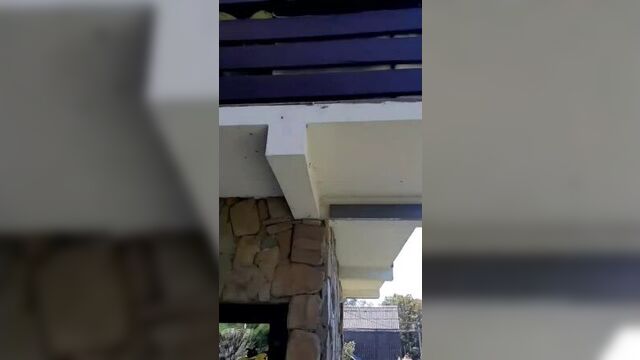 В сочи нашествие клопов