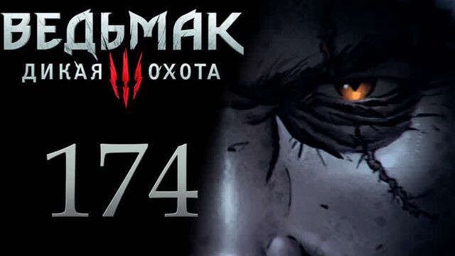 Ведьмак 3 прохождение игры на русском - заказы: пропавший брат, бестия из оксенфуртской чащи [#174]