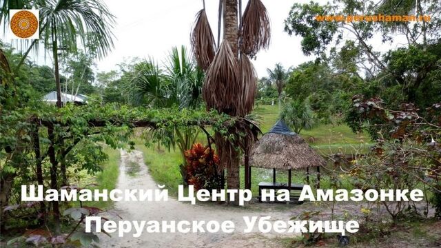 Церемонии аяхуаски. центр шаманизма. перуанское убежище. икитос перу. профессиональные исконные церемонии аяваски.