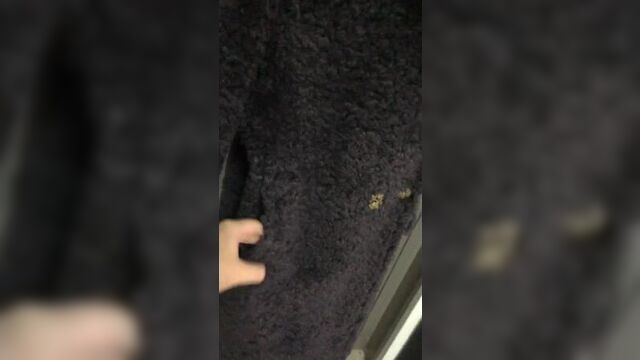 Пальто шерсть + вискоза английский воротник цвет черника 