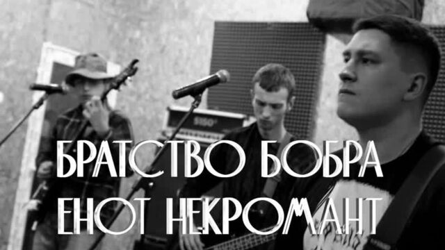 Братство бобра — енот некромант (live)