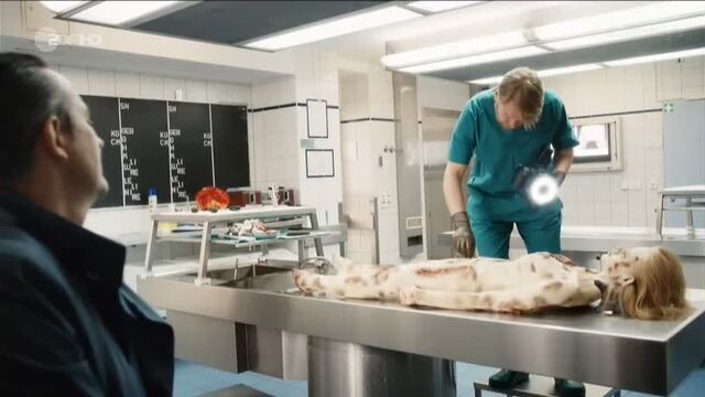 Jenny elvers, felicitas woll, etc nude - böser wolf (2016) 1-2 hd 720 watch online