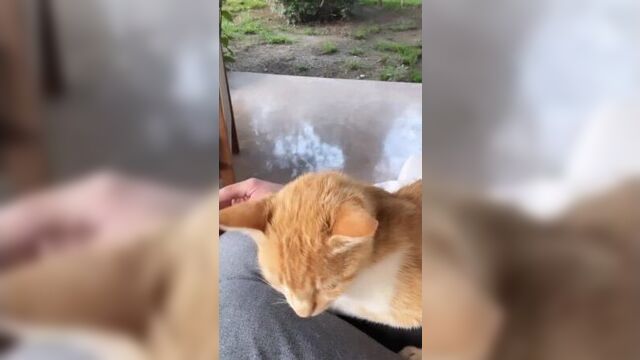 @bilanofficial/instagram stories/08.06.23